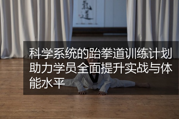 科学系统的跆拳道训练计划助力学员全面提升实战与体能水平